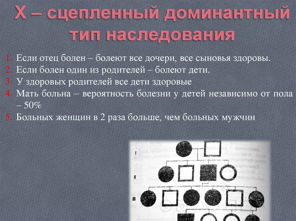 Х сцепленный доминантный Тип наследования. Родословная с х сцепленным доминантным наследованием. Х-сцепленное рецессивное наследование родословная. Х-сцепленное доминантное наследование болезни.