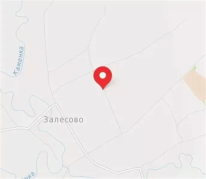 Мое любимое залесова