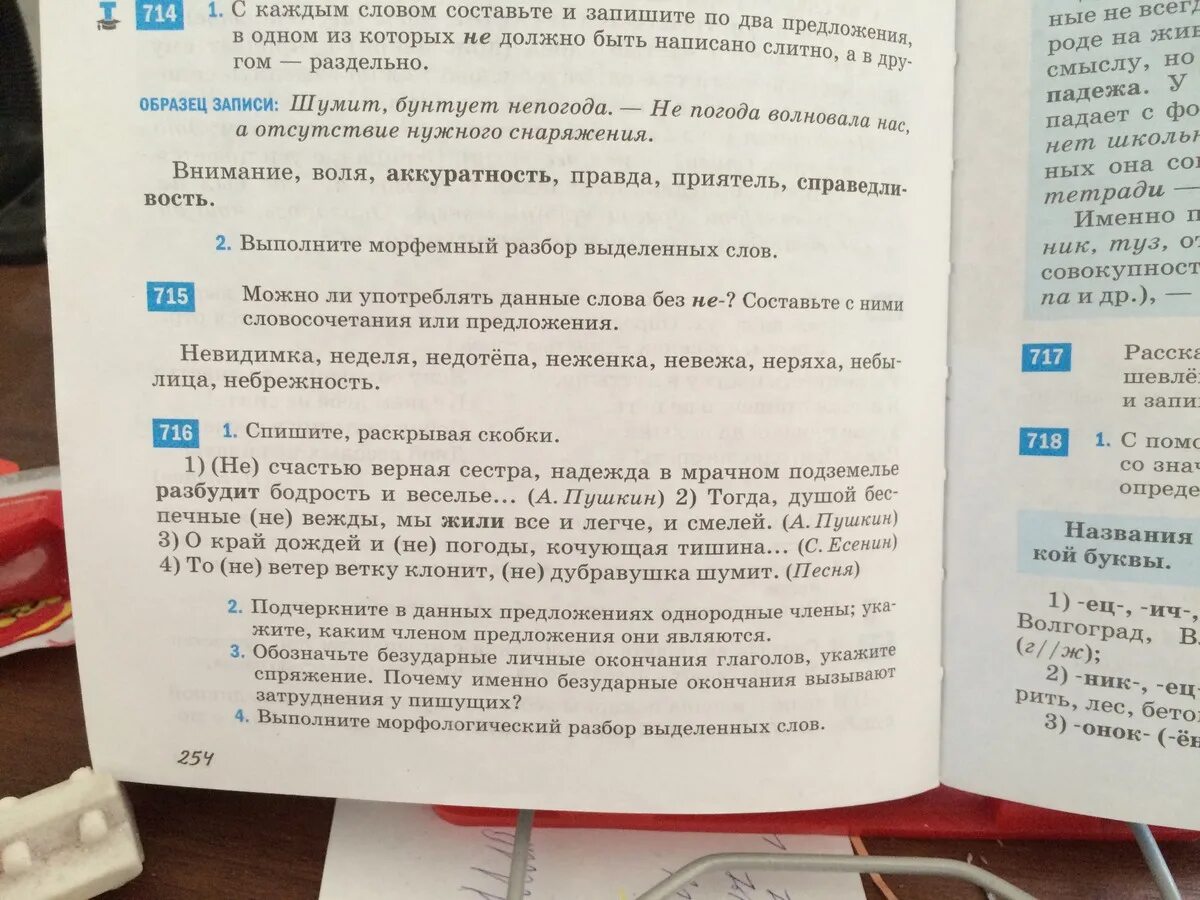 Словосочетание со словом недотепа. Предложение со словом недотёпа для 5 класса. Недотепа предложение с этим словом. Почему ты назвал меня невежей