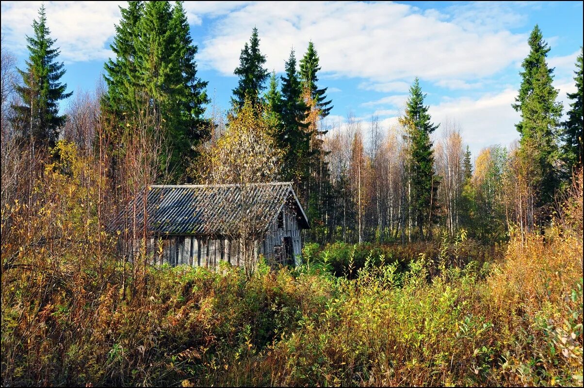 Нежилые поселения
