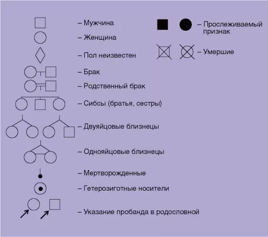 Сахарный диабет родословная. Сахарный диабет родословная