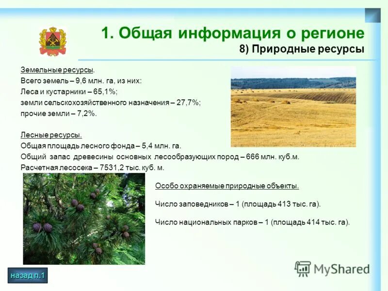 Информация о регионе. Символика кемеровской области герб флаг. Что изображено на гербе россии. Природные ресурсы кемеровской области. Информация о гербе россии.