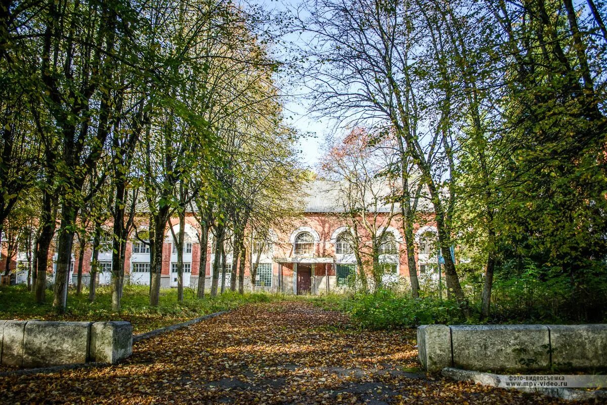 Новоселицы новгородская область. Новоселицы Великий Новгород. Новоселицы Новгородский район. Деревня Новоселицы Новгородской области. Новоселицы в-ч 22558.