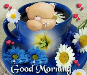 Sister morning