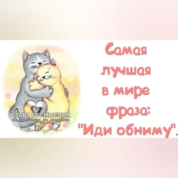 Стихи любимому. Смешные фразы для любимого мужчины. Короткие прикольные поздравления. Прикольные открытки с надписями. Любимому мужу красивые слова.