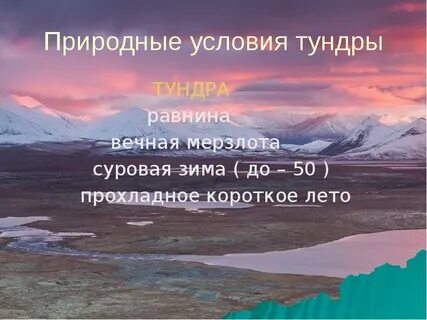 Природные условия тундры 4 класс