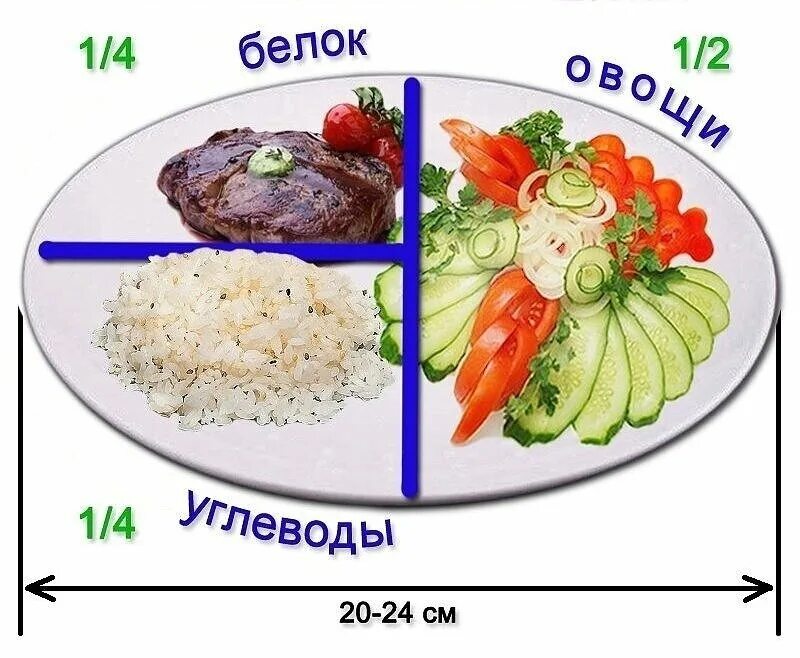 Порция еды сколько грамм. Тарелка правильного питания. Правильная тарелка для похудения. Правильное питание правильная тарелка. Тарелка правильного питания для похудения.