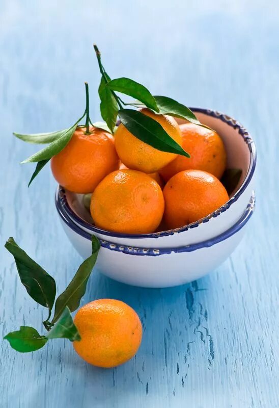 Банан и апельсин. Блестящие апельсиновый рай альбом. Анна семенович апельсиновый рай. Группа блестящие апельсиновый рай. Группа блестящие бананы кокосы.