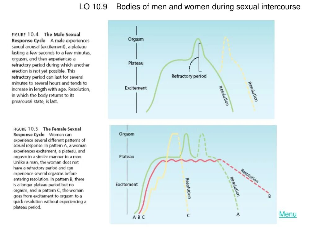 Оргазм плато из фаз цикла. Female genital Cycle.. Presentation male female sexuality. Women's experience of orgasm during intercourse. During this period