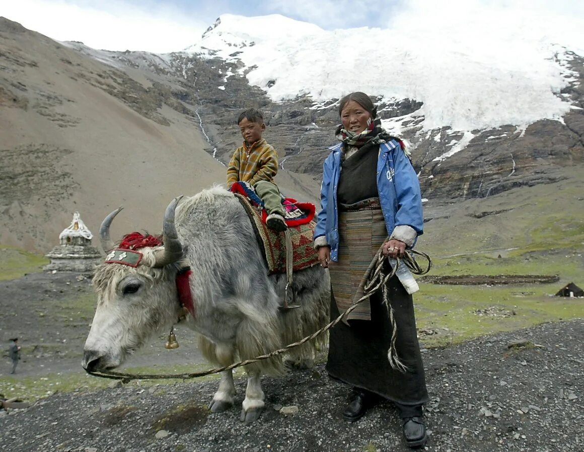 Тибетцы Лхаса люди. Тибет Памирцы. Тибет шерпы. Дзопа Тибет. Быт в горах кратко