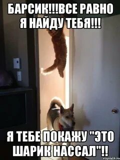 Я тебя найду без рекламы