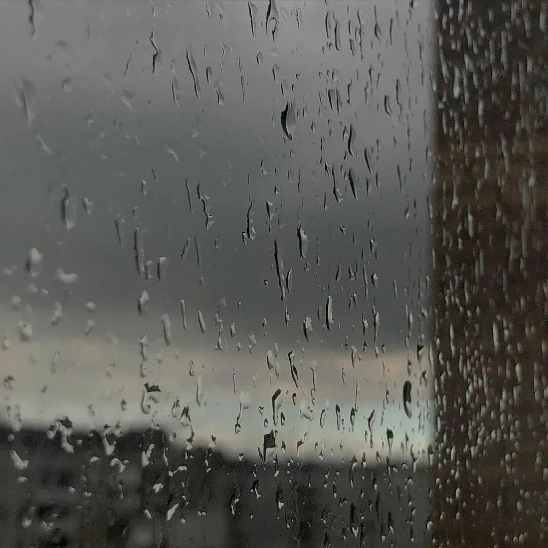 мрачно было дождь капал ветер. лес в тумане. дождь за окном. мрачно было дождь капал ветер. дождь за окном.