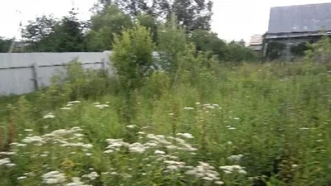 Рассудова селятино