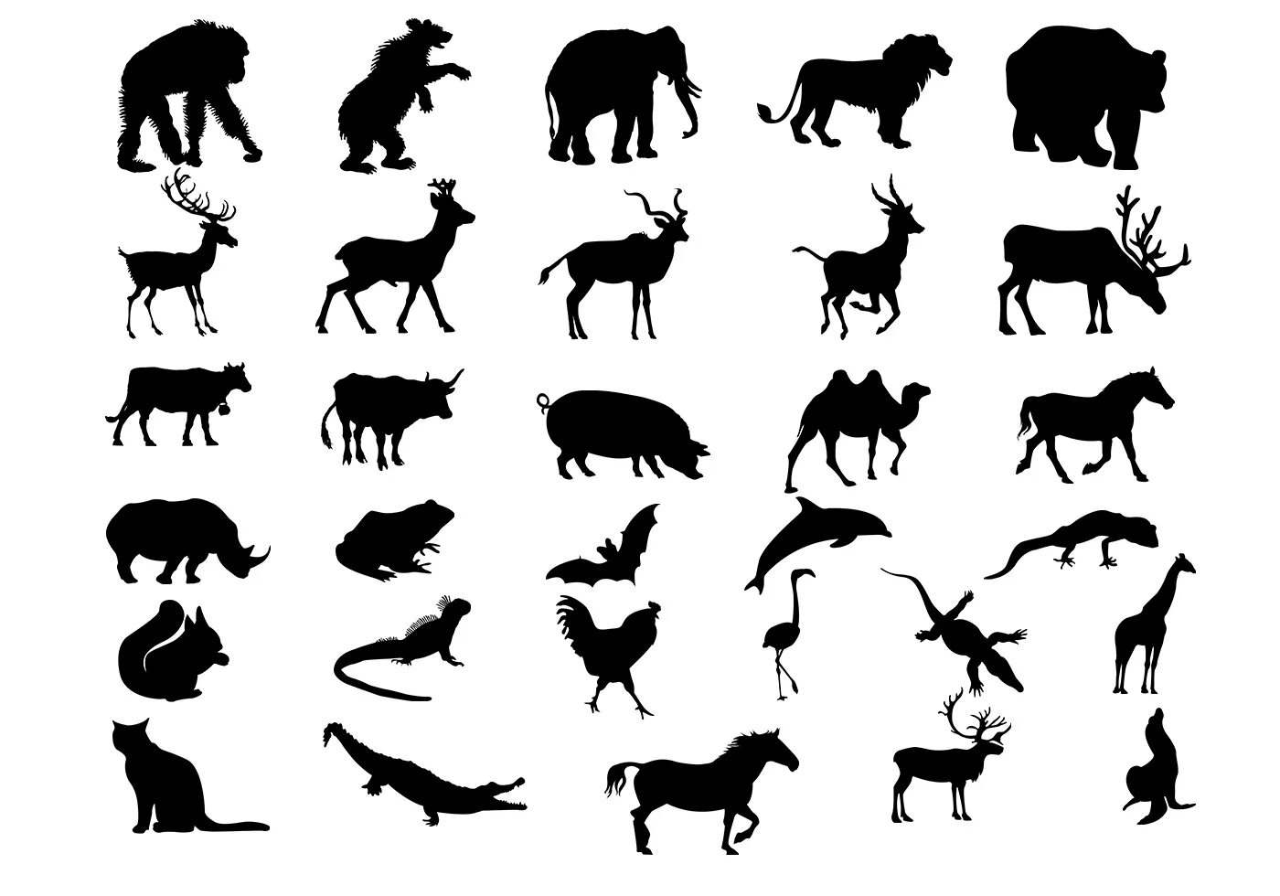 Vector set of animals. Home favorites. Mammals. Marine life. Illustration in car