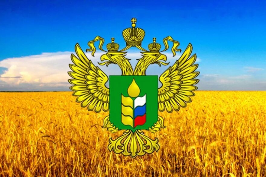 Агропромышленный комплекс минсельхоз