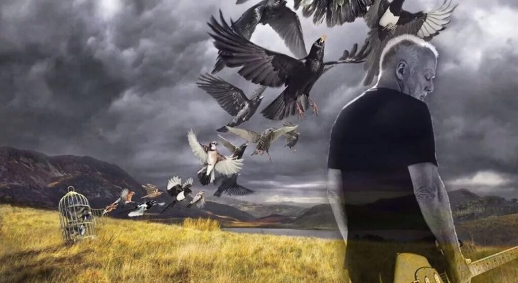 David lock. Rattle that lock дэвид гилмор. david gilmour, альбом rattle that lock, 2015. david gilmour 2015. david gilmour rattle that lock 2015 обложка.