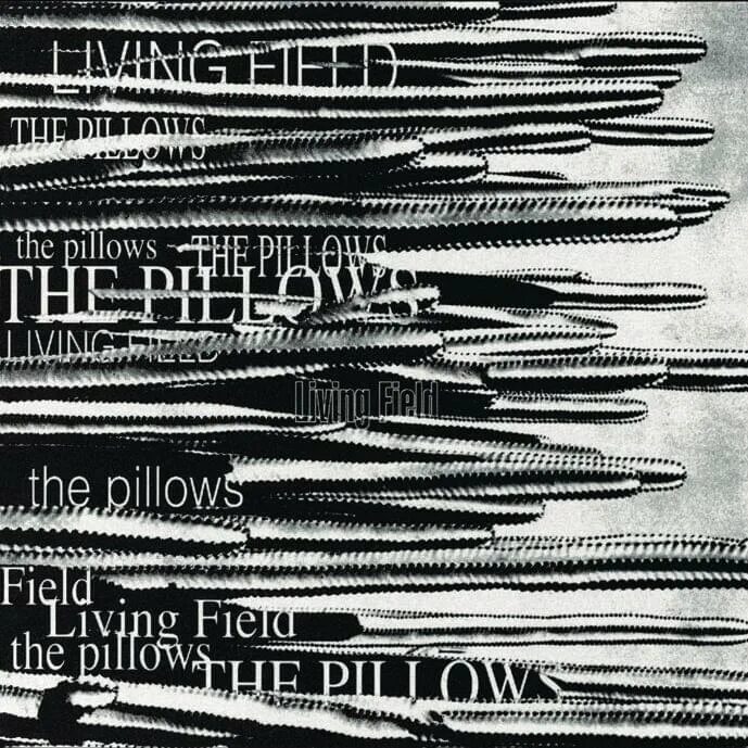 The pillows album. Pillow логотип. The pillows альбомы. Field lived. Pillows песни.