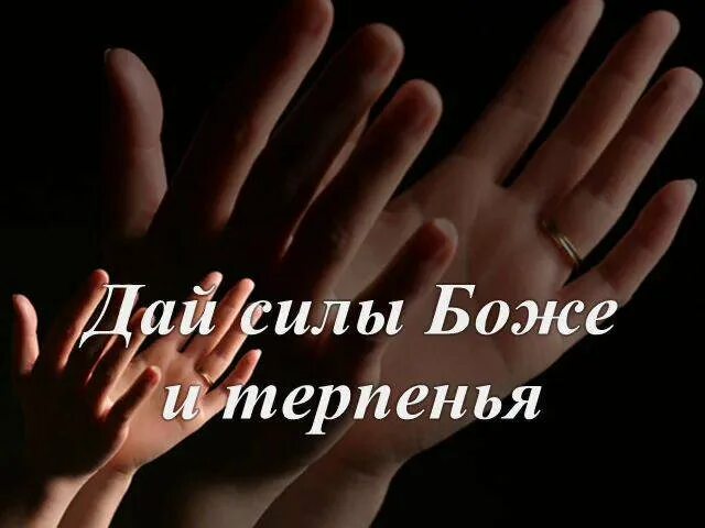 Стихи про терпение. Терпение цитаты. Дождитесь терпения. Открытка терпения. Высказывания про отношения.