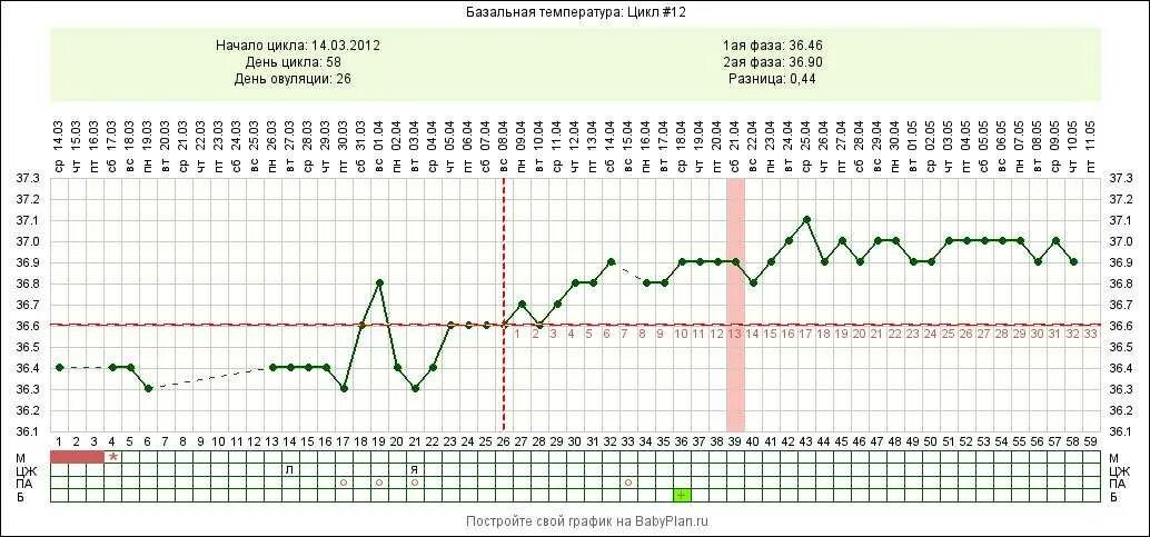 Что значит базальная температура. График БТ при беременности до задержки. График базальной при беременности. Правильный график базальной температуры при беременности. Беременный график базальной температуры до задержки.