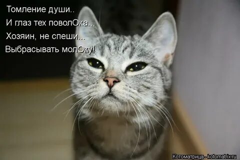 Томление это