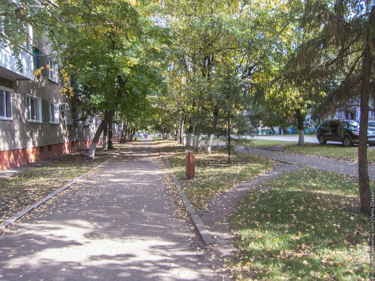 Улица города ртищево. Парк города Ртищево Саратовской области. Ртищево Солнечная улица. Ртищево аллея на Крылова. Солнечный переулок Ртищево.