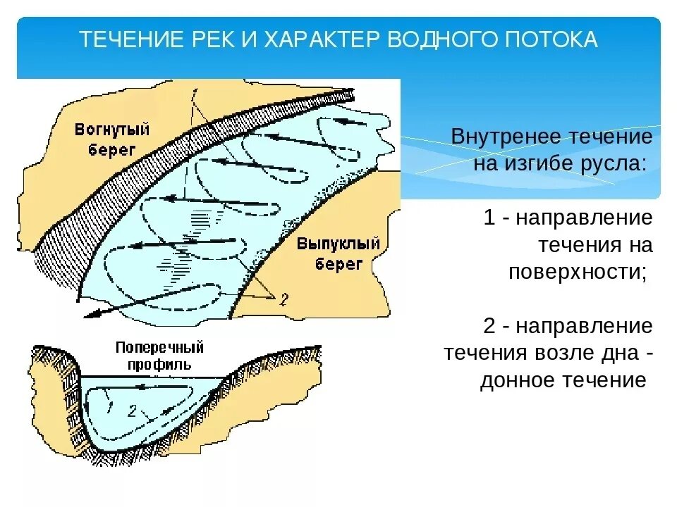 Свальное течение в реке это. Течение воды в русле. Течение на дне реки. Река течение и глубина. В течении реки много изгибов