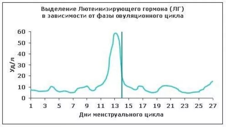 Либидо цикл. Лютеинизирующий гормон по дням цикла. Уровень ЛГ по дням цикла. Гормон ЛГ по дням цикла. График гормона ЛГ овуляция.