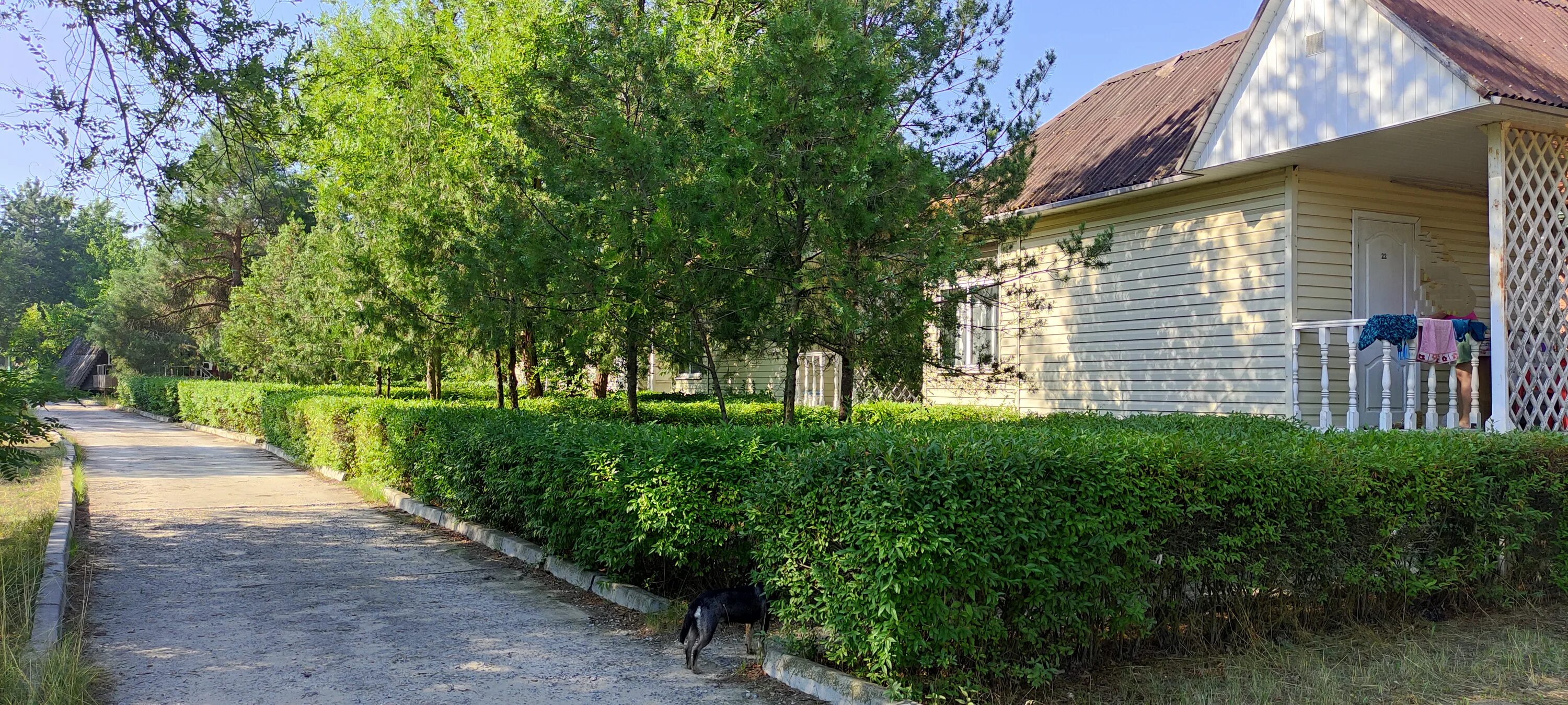 айвенго волгодонск пляж. база айвенго волгодонск. волгодонск улица отдыха. волгодонск улица отдыха. база отдыха солнечная поляна волгодонск.