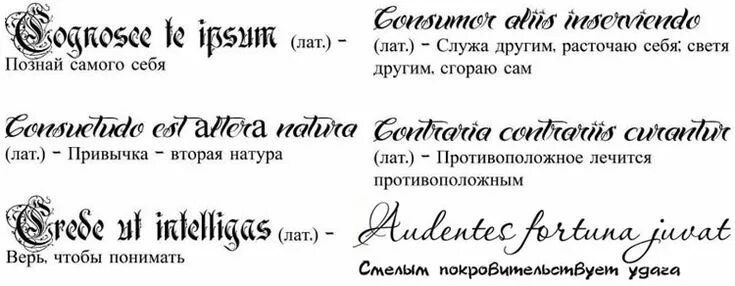 Тату на ключице. Тату надпись на ключице для девушек. 100+ эскизы тату на ключиц
