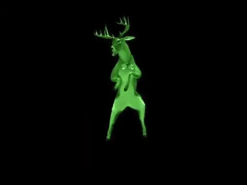 Танец новогодних оленей. Deer dance system. Soad deer dance art. Deer dance system. Танцующий лось.