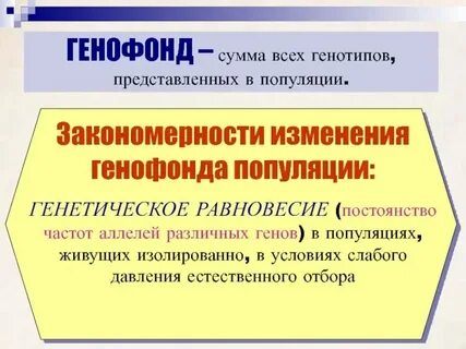 По плану идеальный генофонд