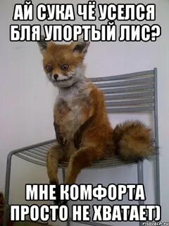 На сука на сука получай сука
