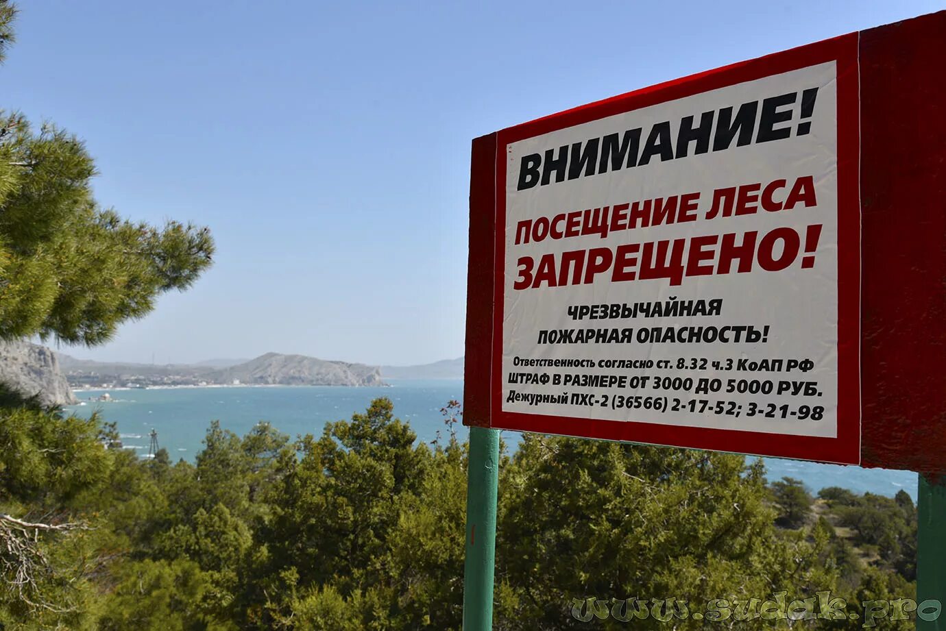 Посещение лесов запрещено. Леса закрыты для посещения. Запрещено посещать лес в Крыму. Запрет на посещение лесов.