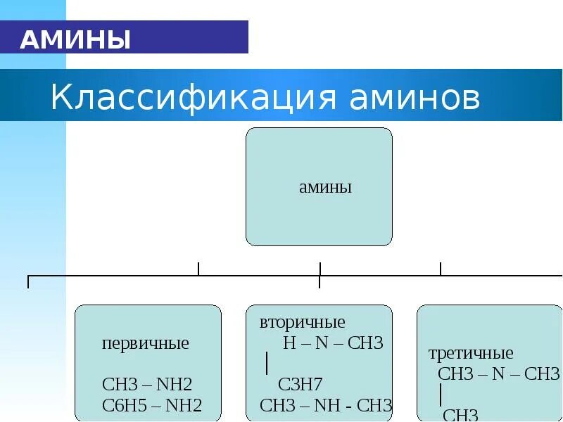 Амины презентация 10 класс. Амины классификация. Амины классификация Аминов. Амины презентация. Классификация Аминов презентация.