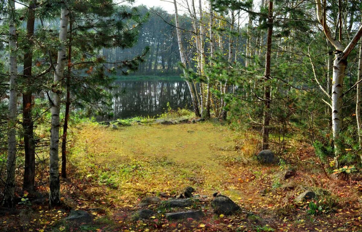 нарисовать лесную поляну. автор поляны. азапкина поляна башкирия. нарисовать с ребенком лесная полянка. автор поляны.