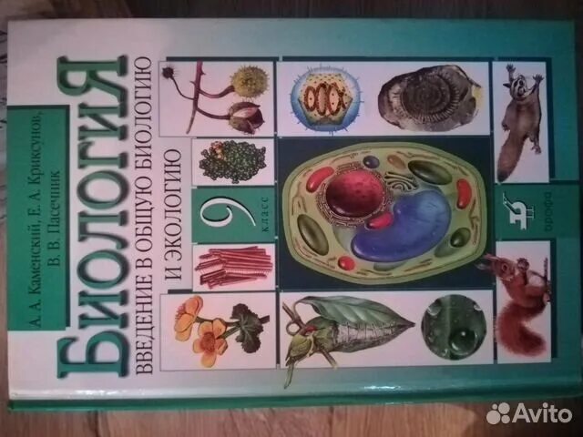 Биология. 9 Класс. Учебник. Биология 9 класс Каменский. Учебник по биологии 9 класс. Учебник по биологии 9 класс Каменский. Биология 9 класс соломина шевырева