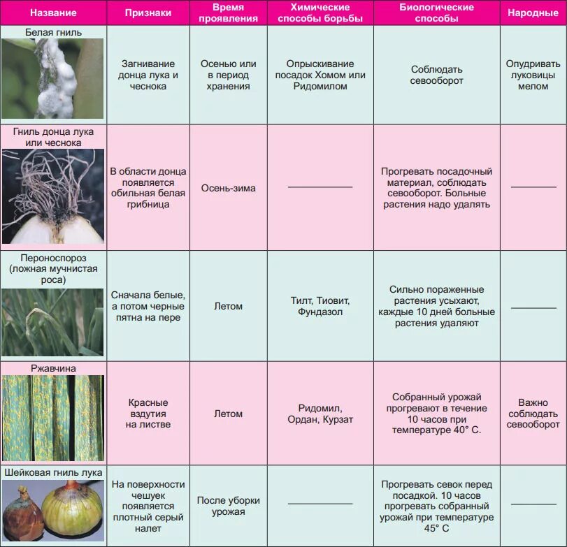 Какие существуют меры борьбы. Таблица от вредителей и болезней. Пути борьбы с вредителями и болезнями растений. Таблица вредителей растений. Обработка овощей от вредителей и болезней.