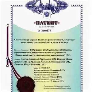 Патент на изобретение 2025. Патент на интеллектуальную собственность. документ о патентовании. патент на изображение.