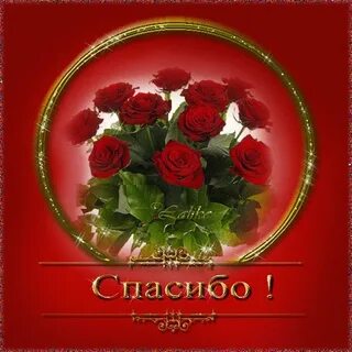 Спасибо отблагодарить