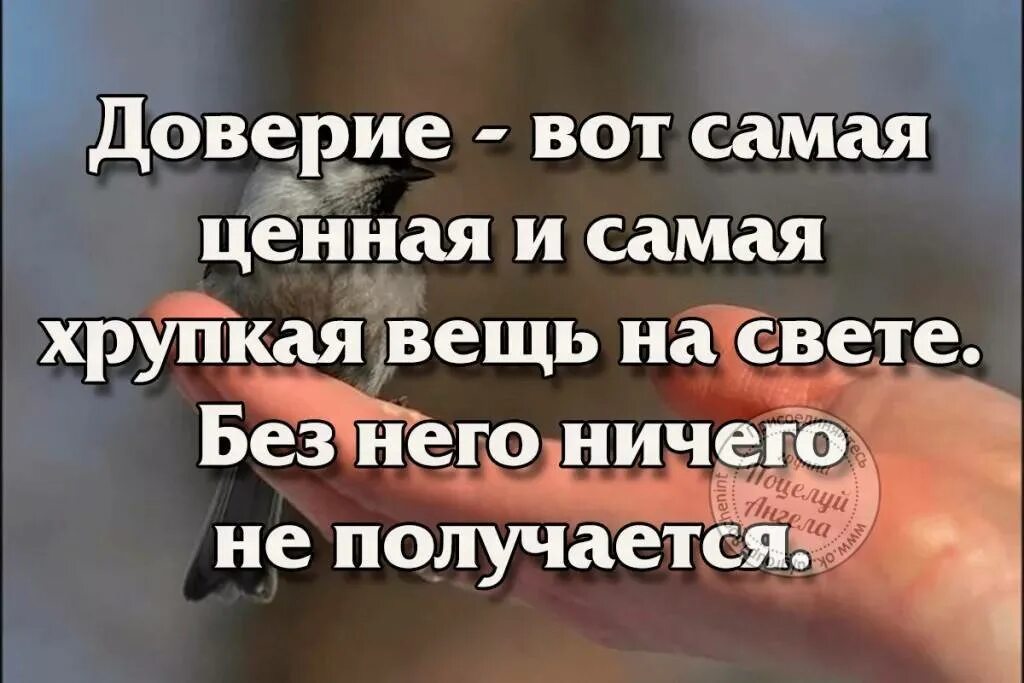 Доверие сообщество. Без доверия цитаты. Недоверие в отношениях цитаты. Афоризмы про доверие. Нет доверия картинки.