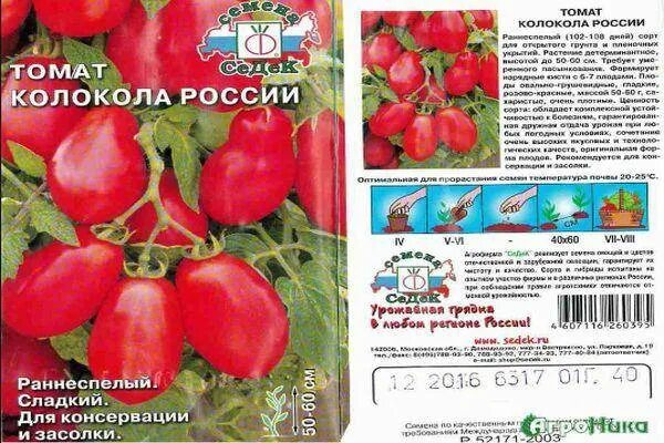 Томат царь колокол описание сорта. Русские колокола томат описание. томат русские колокола характеристика.