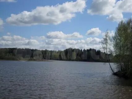 Водохранилище шаховская