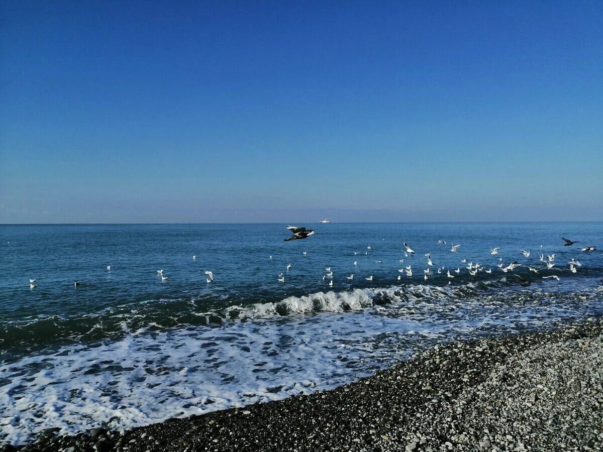 Сколько вода в море в сочи. Сочи Адлер черное море. Черное море пляж Адлер. Набережная черного моря Адлер зимой. Берег чёрного моря Адлера.
