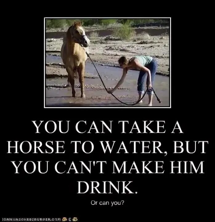 You can take a Horse to the Water but you can’t make him Drink. На русском. You can take a Horse to Water. You can take a Horse to Water but you cannot make him Drink перевод. You can take a Horse to the Water but you can't make him Drink русский эквивалент. Make him drink