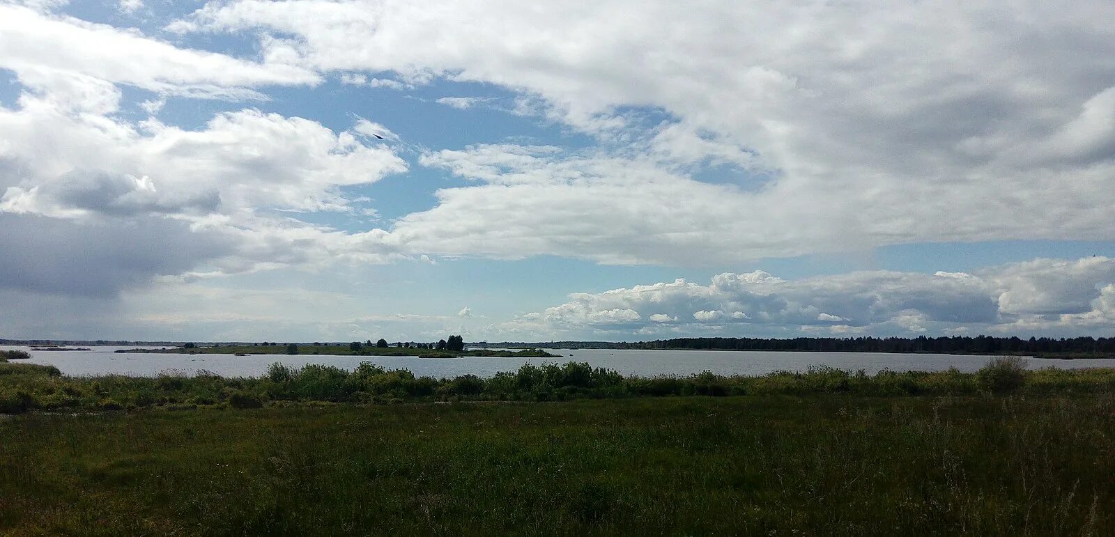 Заболотье ярославская область некрасовский. Озеро Согожское Ярославская область. Озеро Кудринское Ярославская. Искробольское озеро. Согожское озеро Ярославская область фото.