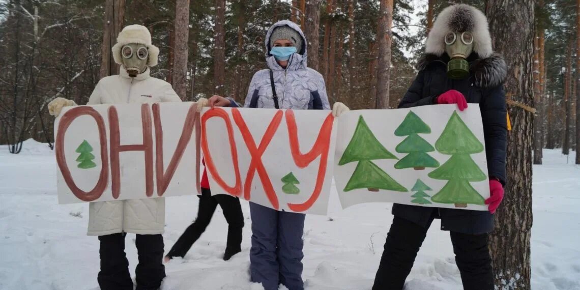 Активистка против вырубки леса. Движение против вырубки лесов. листовка против вырубки леса. реклама экологов против вырубки леса. плакат против лесозаготовок.