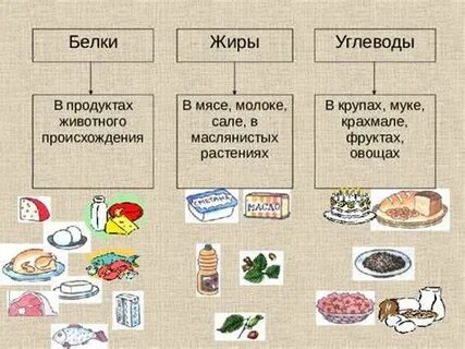 Больше белка меньше углеводов