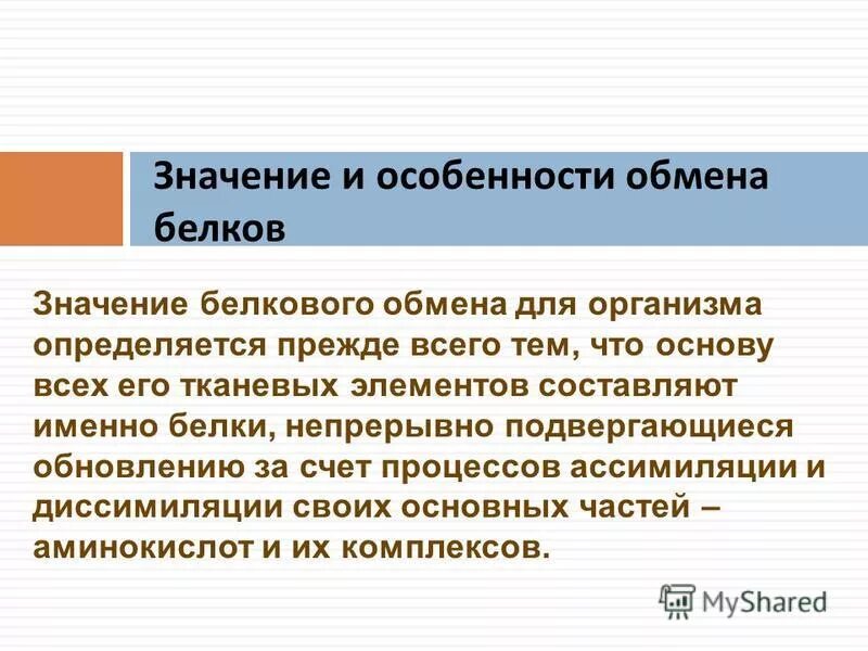 Какое значение имеет белок. Какое значение имеет белок