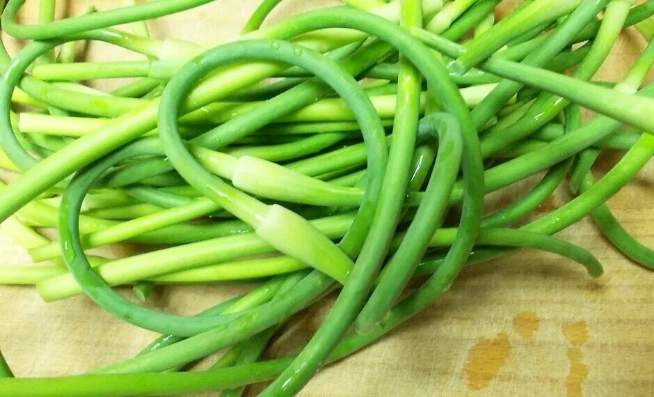 чесночные стрелки в огороде фото. чесночные стрелки. чесночные стрелки от вредителей на огороде. чесночные стрелки от вредителей на огороде. чесночная стрелка.