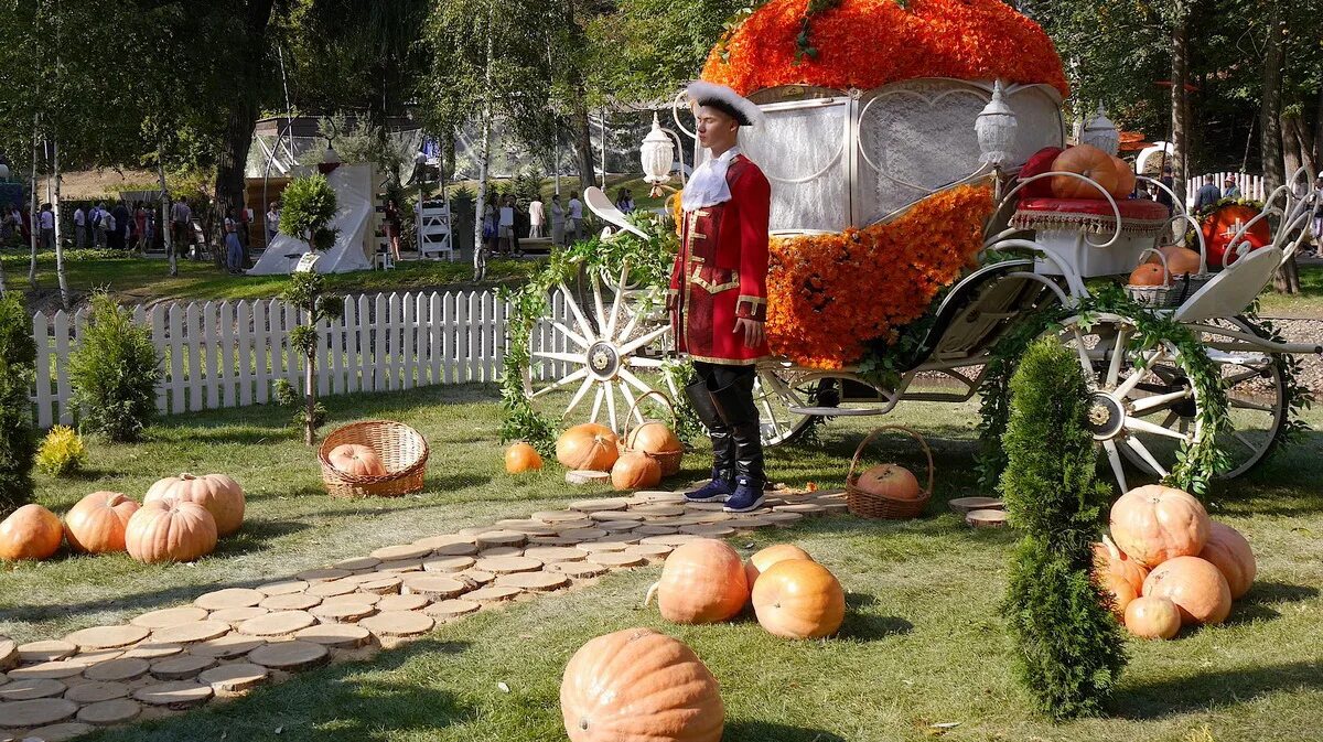 Травяной сад новая голландия в санкт-петербурге. Город будущего. Воронежский центральный парк, воронеж. Парк динамо воронеж город сад. Парк горького краснодар.
